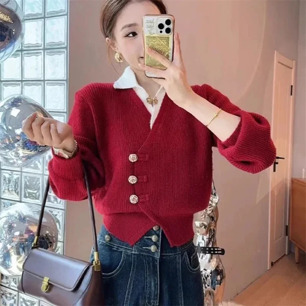 Winter wear Top for women